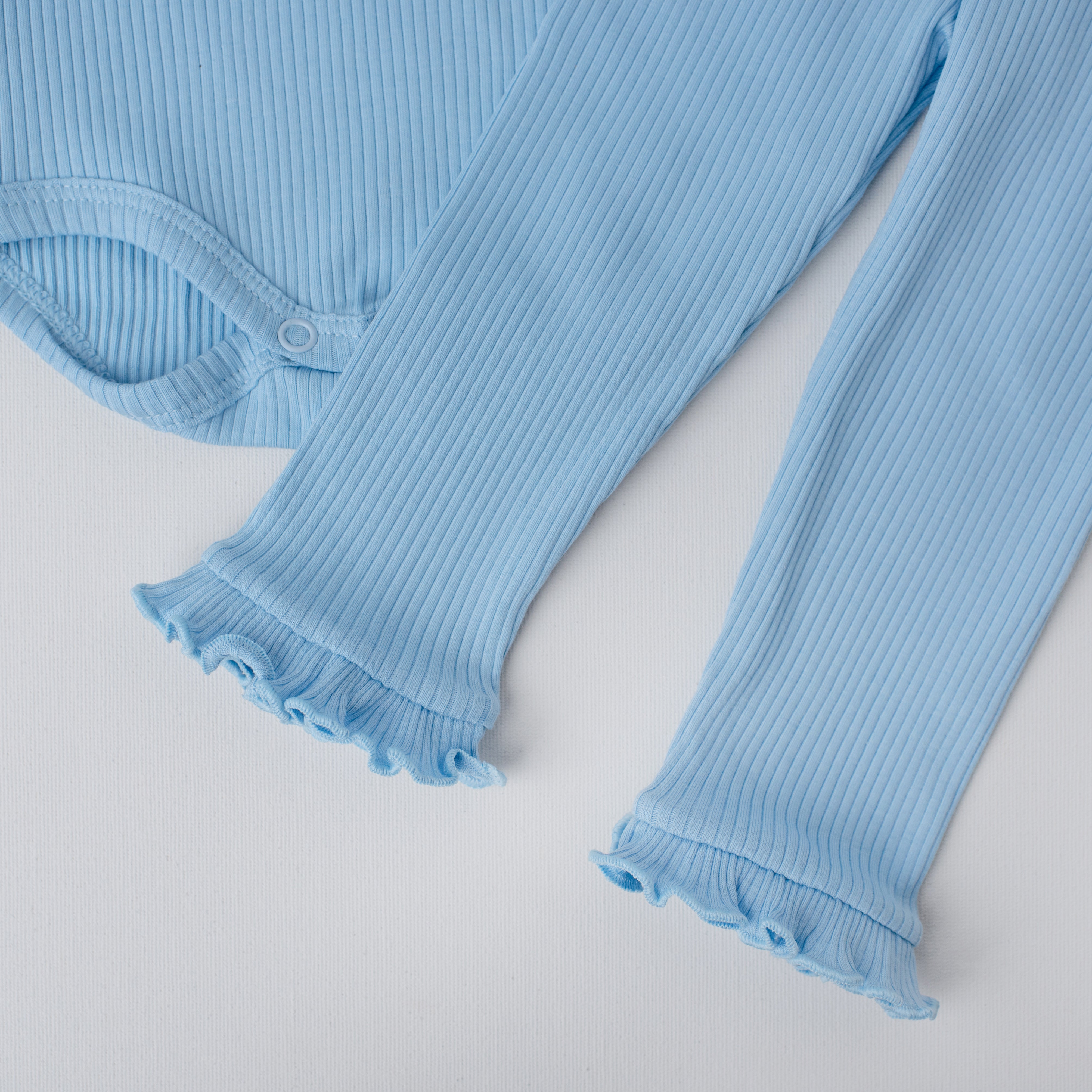 Conjunto Cisne Canelado Azul