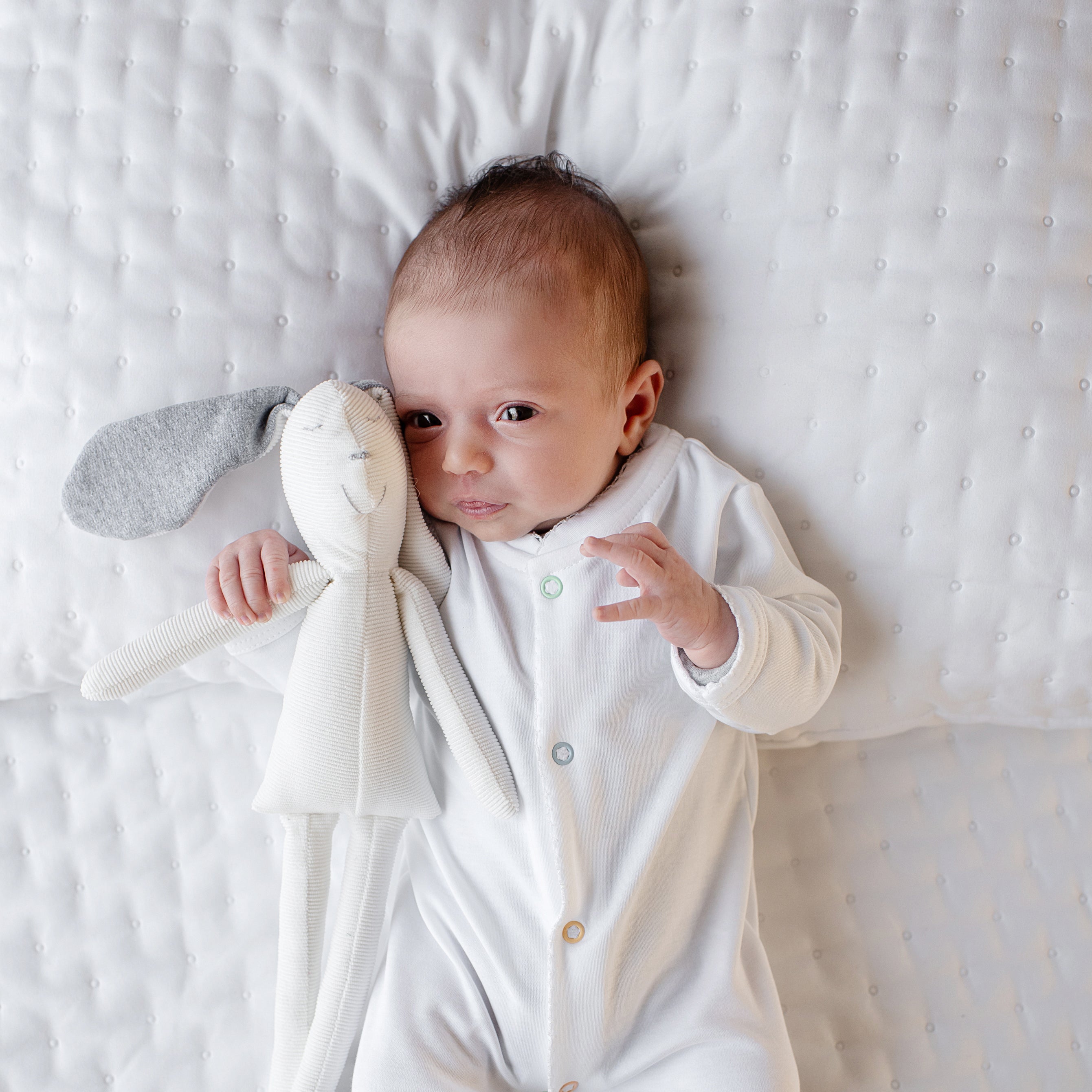 Macacão Arara Candy